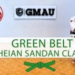 What Kyu is Green Belt in Karate what-kyu-is-green-belt-in-karate-a-comprehensive-guide